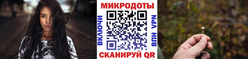 Галлюциногенные грибы прущие грибы  закладки  Избербаш 